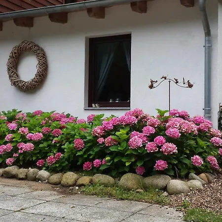 Schweigt Mir Von Rom