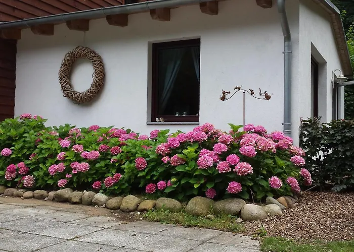 Schweigt Mir Von Rom